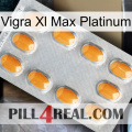 Vigra Xl Max Platinum cialis3